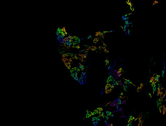 Similar image 21804055