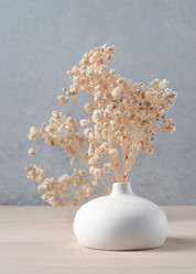 Similar image 21803088