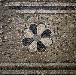 Similar image 21793814