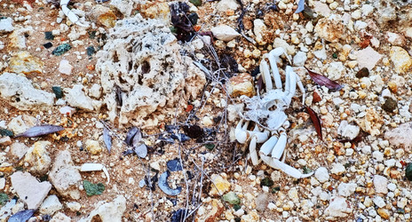 Similar image 21793856