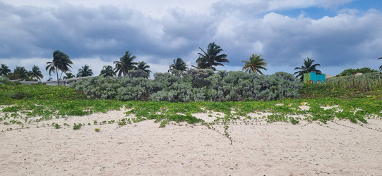 Similar image 21793870