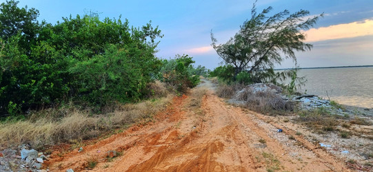 Similar image 21793871