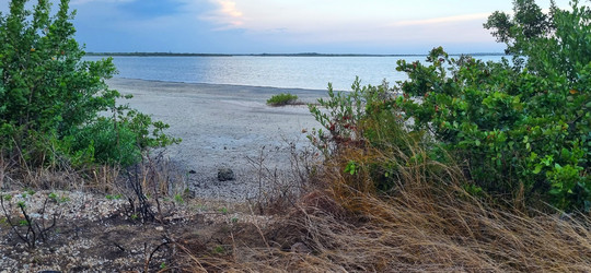 Similar image 21793877