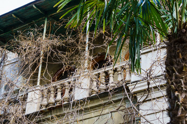 Similar image 21808481