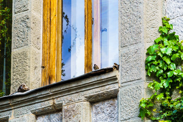 Similar image 21808482