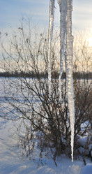 Similar image 21794926