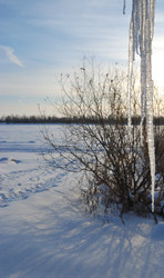 Similar image 21794927