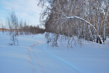 Similar image 21794929