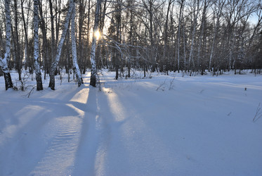 Similar image 21794930