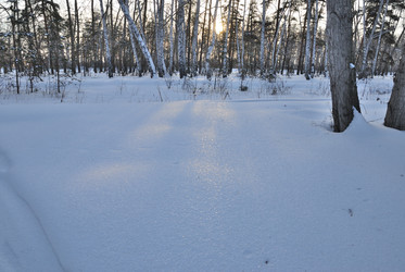 Similar image 21794938