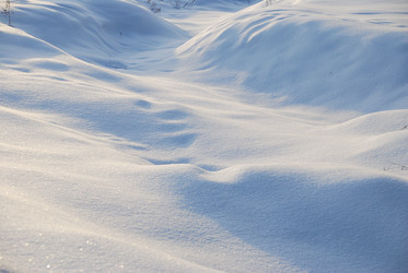 Similar image 21794943