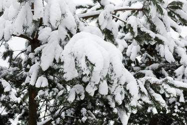 Similar image 21794947