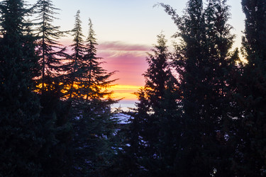 Similar image 21809057