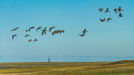 Similar image 21803221