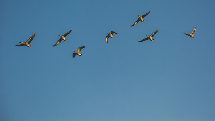 Similar image 21803248