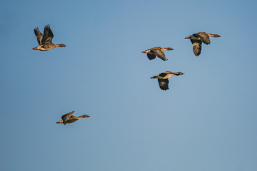 Similar image 21803249