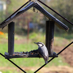 Similar image 21794955