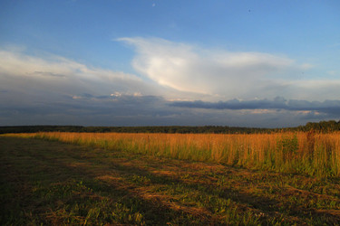 Similar image 21804841