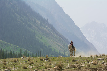 Similar image 21803158