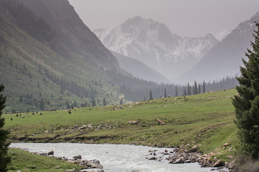 Similar image 21803159