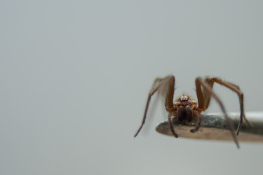 Similar image 21803165