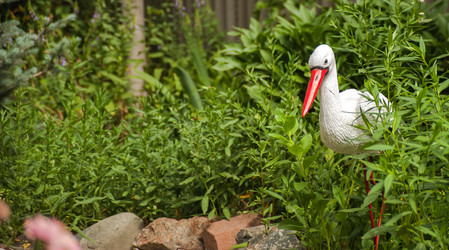 Similar image 21803172