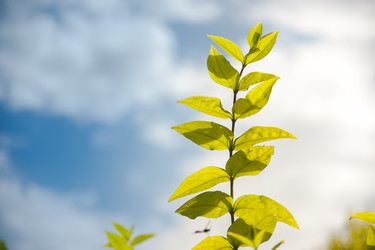 Similar image 21803173