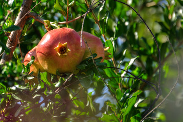 Similar image 21803174