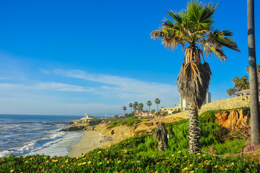 Similar image 21803200