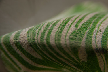 Similar image 21803206