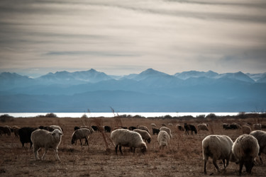 Similar image 21803209