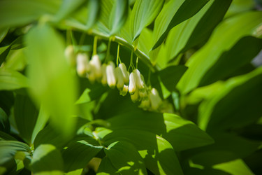 Similar image 21803224