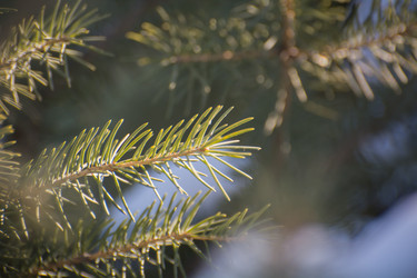 Similar image 21803230