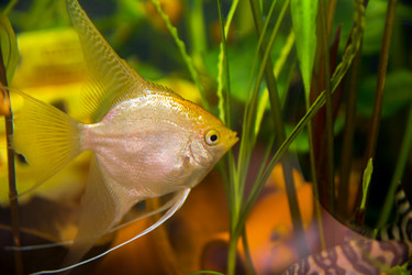 Similar image 21803231