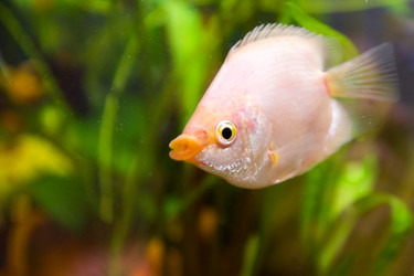 Similar image 21803233