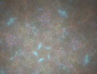 Similar image 21810995