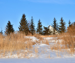 Similar image 21803352