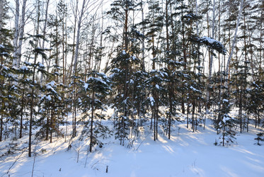 Similar image 21803355