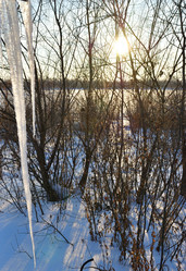 Similar image 21803356