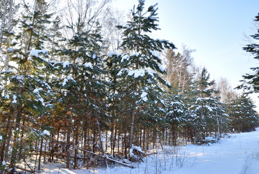 Similar image 21803357