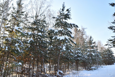 Similar image 21803360