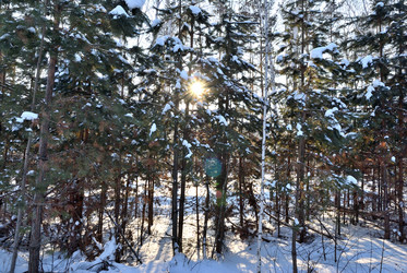 Similar image 21803363