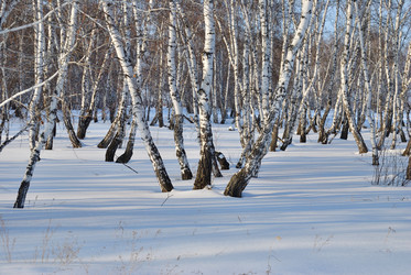 Similar image 21803365