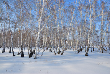 Similar image 21803366