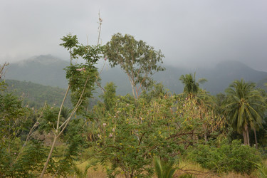 Similar image 21803367