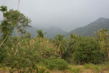 Similar image 21803368