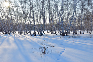 Similar image 21803370