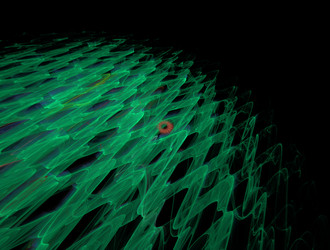 Similar image 21811001