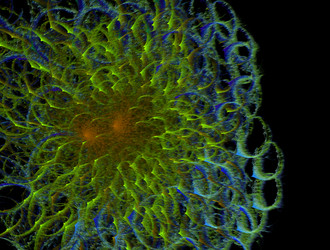 Similar image 21811006