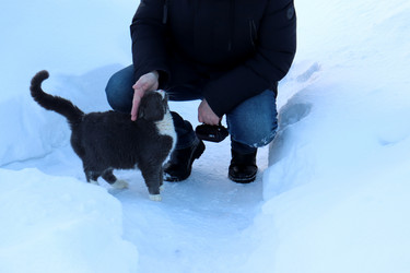 Similar image 21803383